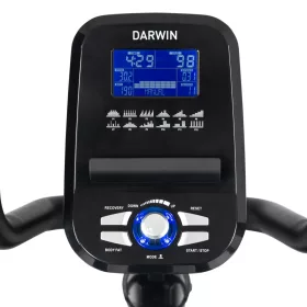 Darwin RB40 háttámlás szobakerékpár