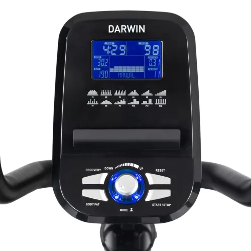 Darwin RB40 háttámlás szobakerékpár